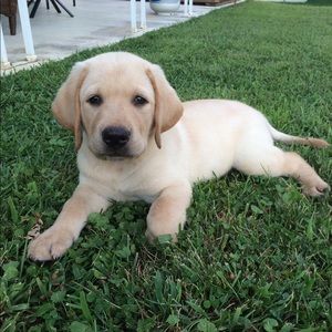 Meet your Posher, Gina